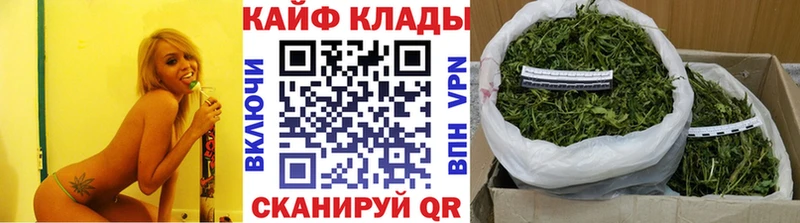 Галлюциногенные грибы Кузнецк