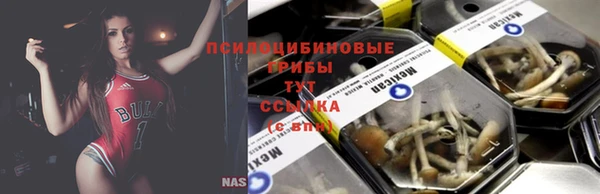 ГАЛЛЮЦИНОГЕННЫЕ ГРИБЫ Бронницы