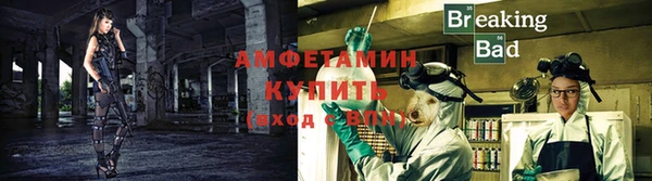 ГАЛЛЮЦИНОГЕННЫЕ ГРИБЫ Бронницы