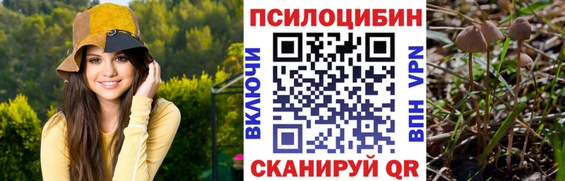 купить наркоту  Кузнецк  Псилоцибиновые грибы MAGIC MUSHROOMS 